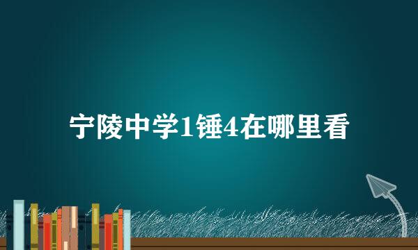 宁陵中学1锤4在哪里看