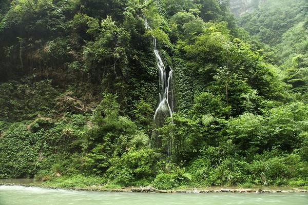 “芳树无人花自落，春山一路鸟空啼”是什么意思？