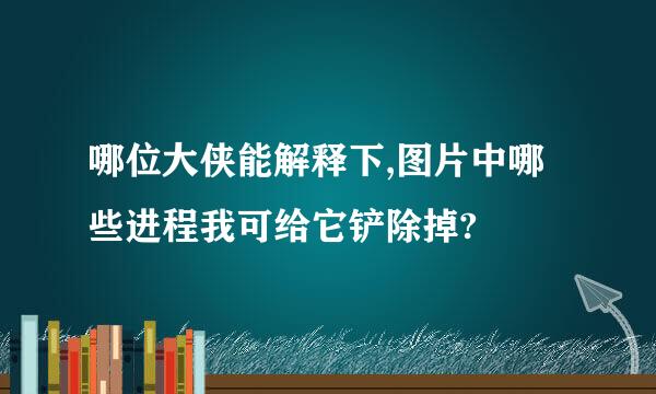 哪位大侠能解释下,图片中哪些进程我可给它铲除掉?