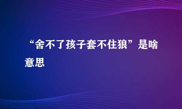 “舍不了孩子套不住狼”是啥意思