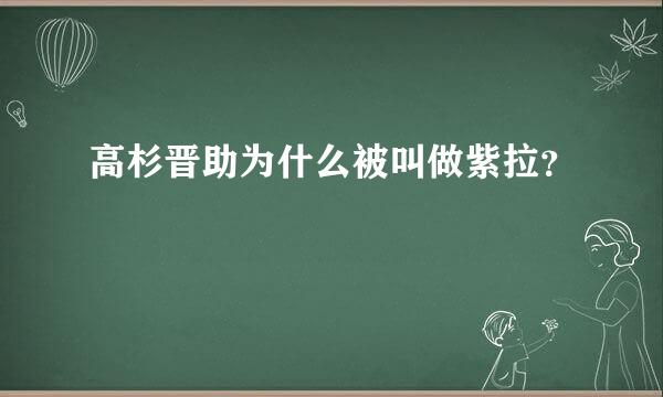 高杉晋助为什么被叫做紫拉？