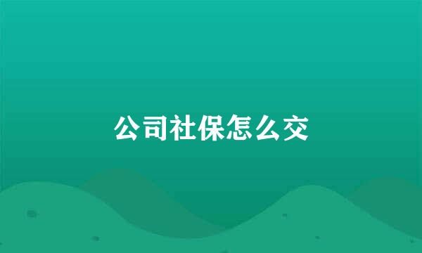 公司社保怎么交