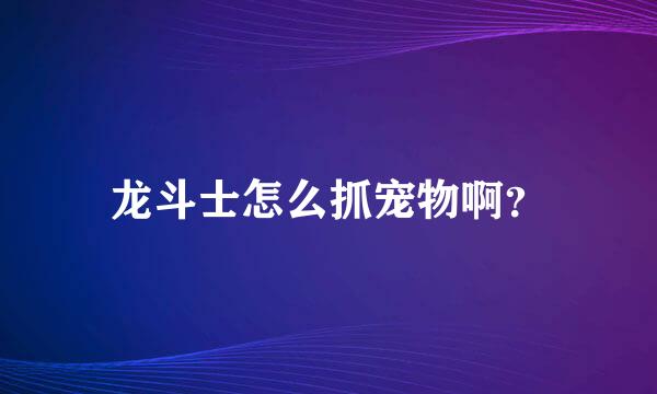 龙斗士怎么抓宠物啊？