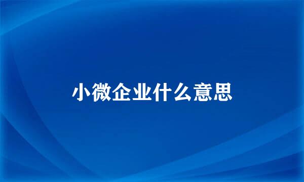 小微企业什么意思