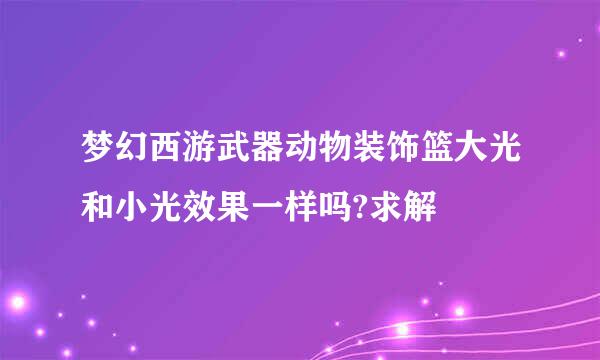 梦幻西游武器动物装饰篮大光和小光效果一样吗?求解