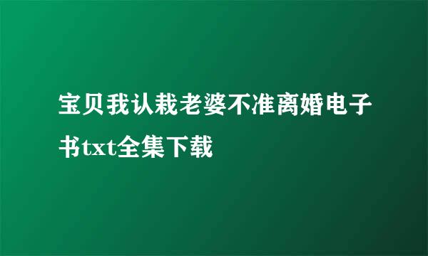 宝贝我认栽老婆不准离婚电子书txt全集下载