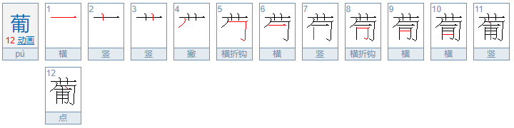 葡能组什么词?