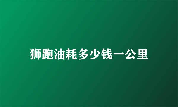 狮跑油耗多少钱一公里