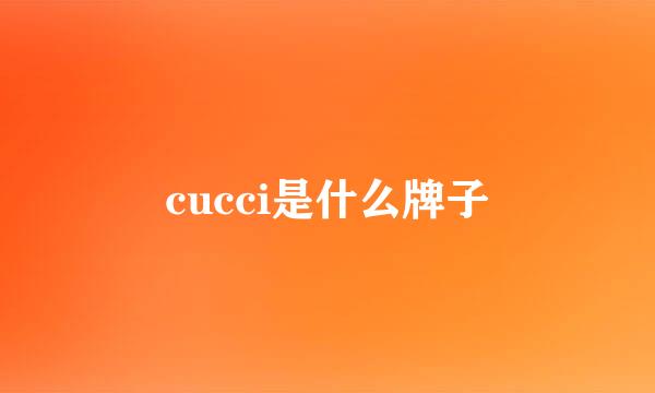 cucci是什么牌子