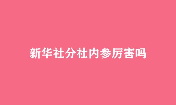 新华社分社内参厉害吗