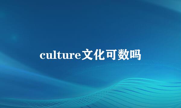 culture文化可数吗