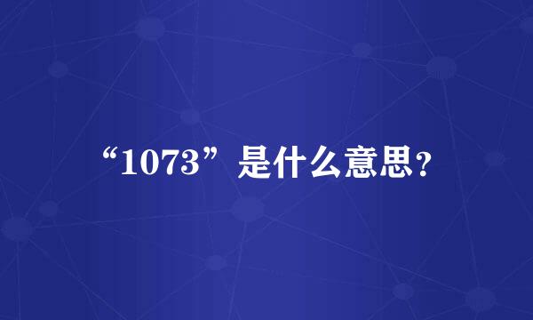 “1073”是什么意思？