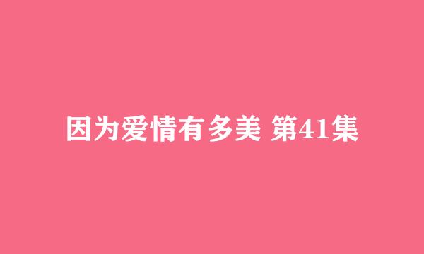 因为爱情有多美 第41集