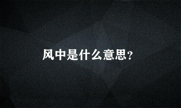 风中是什么意思？