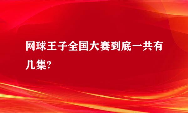 网球王子全国大赛到底一共有几集?