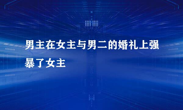 男主在女主与男二的婚礼上强暴了女主