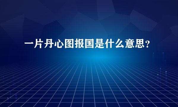 一片丹心图报国是什么意思？