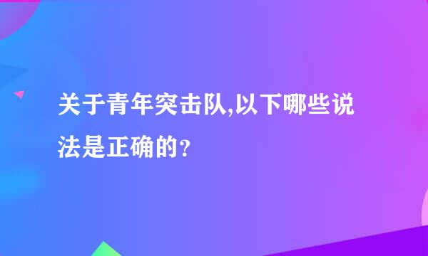 关于青年突击队,以下哪些说法是正确的？