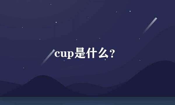 cup是什么？