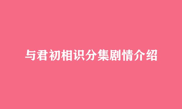 与君初相识分集剧情介绍