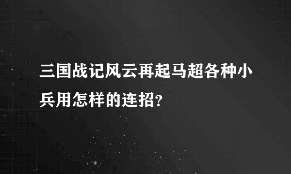 三国战记风云再起马超各种小兵用怎样的连招？