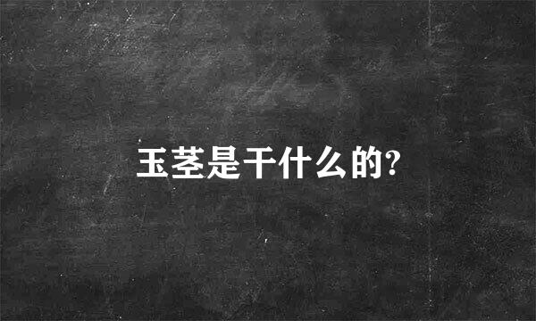 玉茎是干什么的?