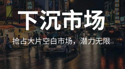 蓝月亮在下沉市场困于山寨货，这体现了下沉市场的哪些问题？