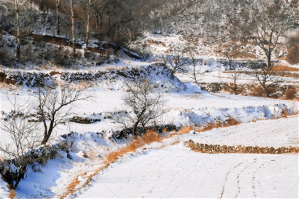 黑龙江暴雪区新增积雪或超过40厘米，此次寒潮有多冷？