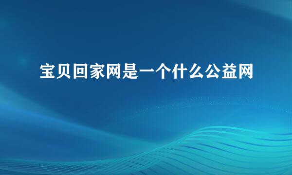 宝贝回家网是一个什么公益网