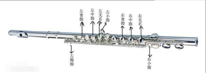 长笛的指法