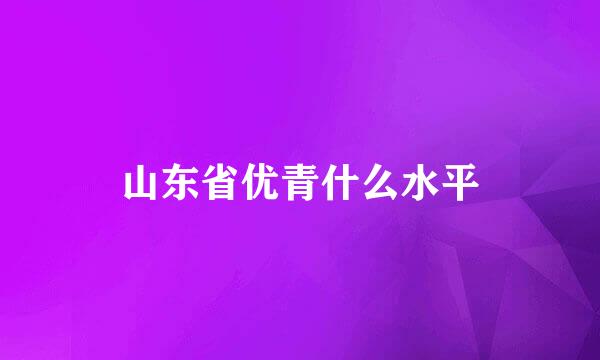 山东省优青什么水平