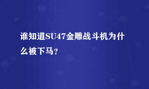 谁知道SU47金雕战斗机为什么被下马？