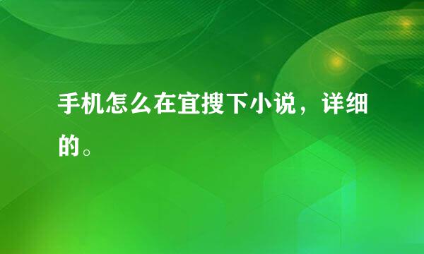 手机怎么在宜搜下小说，详细的。