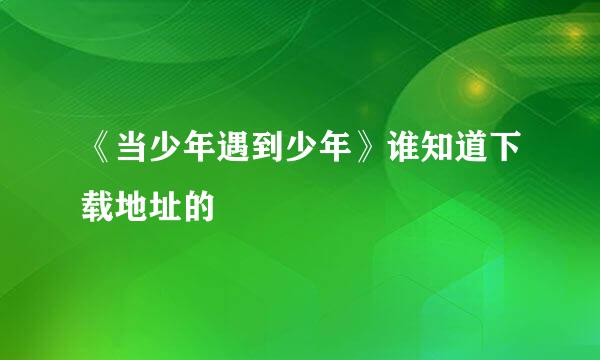 《当少年遇到少年》谁知道下载地址的