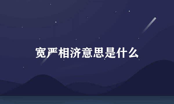 宽严相济意思是什么