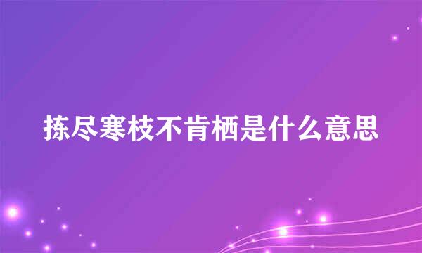 拣尽寒枝不肯栖是什么意思