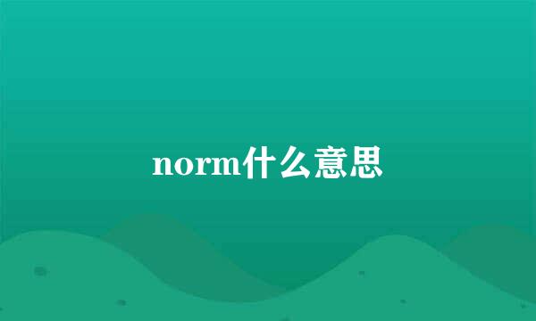 norm什么意思