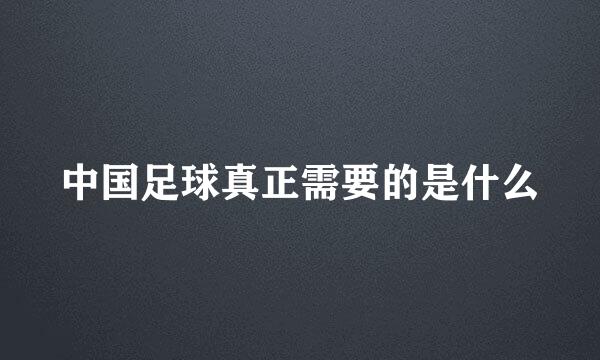 中国足球真正需要的是什么