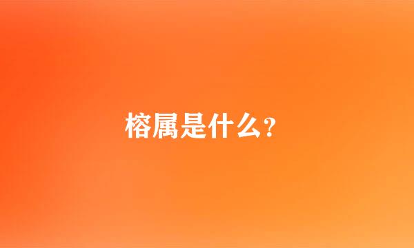 榕属是什么？