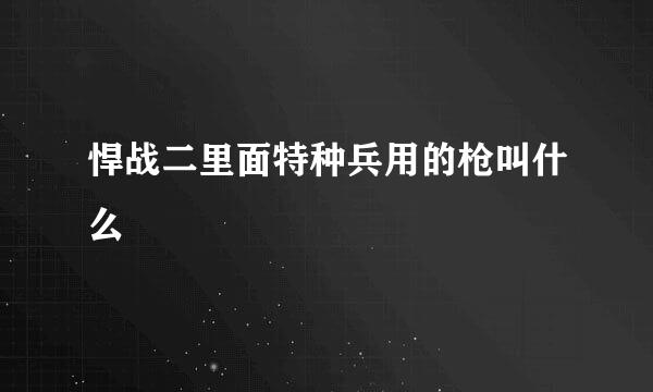 悍战二里面特种兵用的枪叫什么