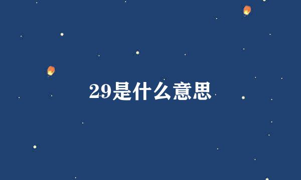 29是什么意思