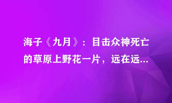 海子《九月》：目击众神死亡的草原上野花一片，远在远方的风比远方更远。 是什么样的意境