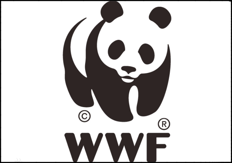 wwf是什么组织?