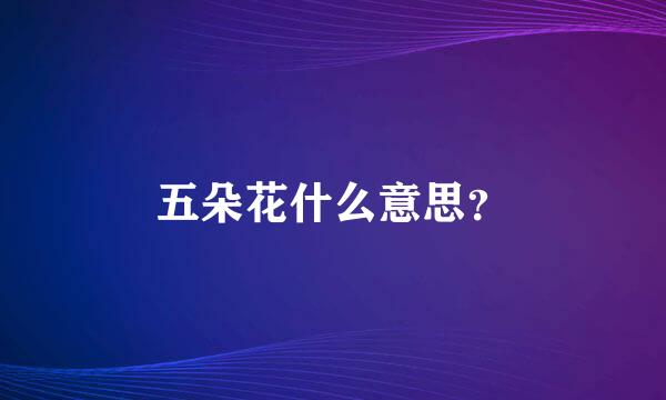 五朵花什么意思？