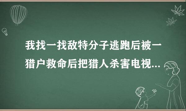 我找一找敌特分子逃跑后被一猎户救命后把猎人杀害电视剧是什么?