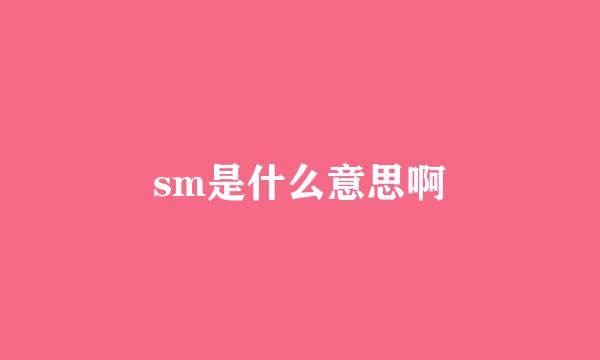 sm是什么意思啊