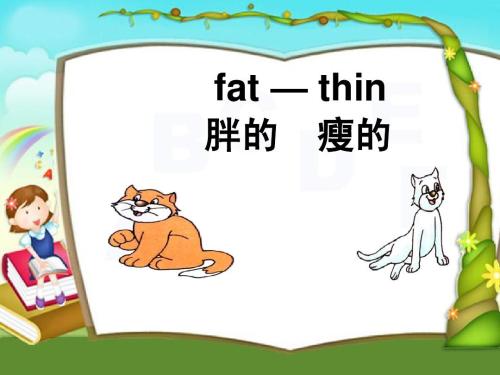 fat英语怎么读