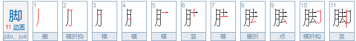 带有“月”字旁的汉字大多和什么有关