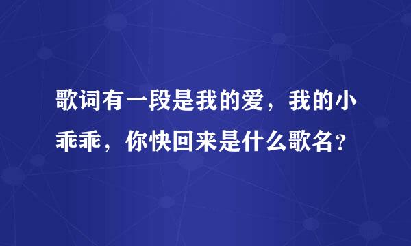 歌词有一段是我的爱，我的小乖乖，你快回来是什么歌名？