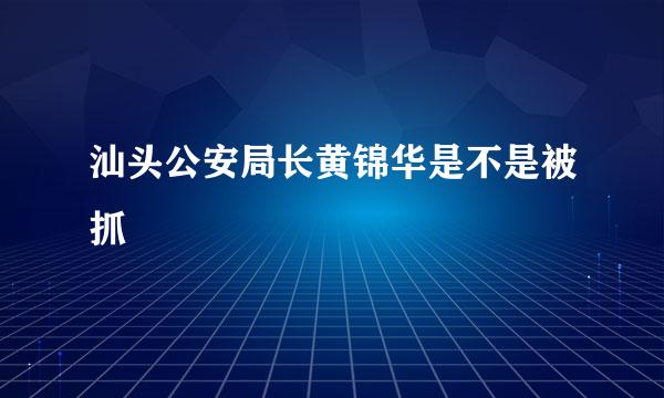 汕头公安局长黄锦华是不是被抓